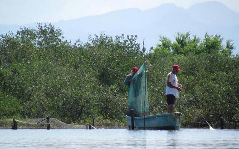 Cuelgan atarrayas pescadores de Escuinapa - El Sol de Sinaloa  Noticias  Locales, Policiacas, sobre México, Sinaloa y el Mundo