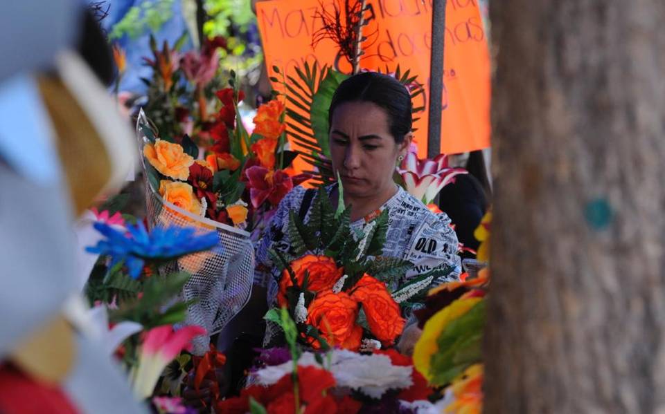 Ayuntamiento brindó permisos de más para vender flores: ULCC - El Sol de  Sinaloa | Noticias Locales, Policiacas, sobre México, Sinaloa y el Mundo